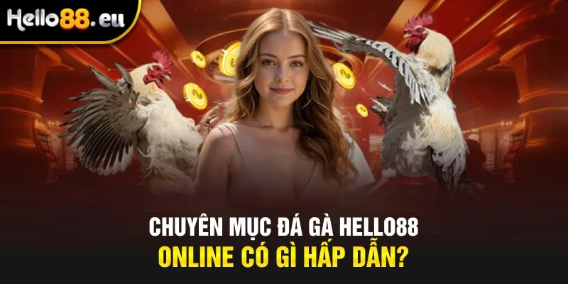 Chuyên mục đá gà HELLO88 online có gì hấp dẫn?