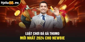 Luật chơi đá gà Thomo mới nhất 2024 cho Newbie